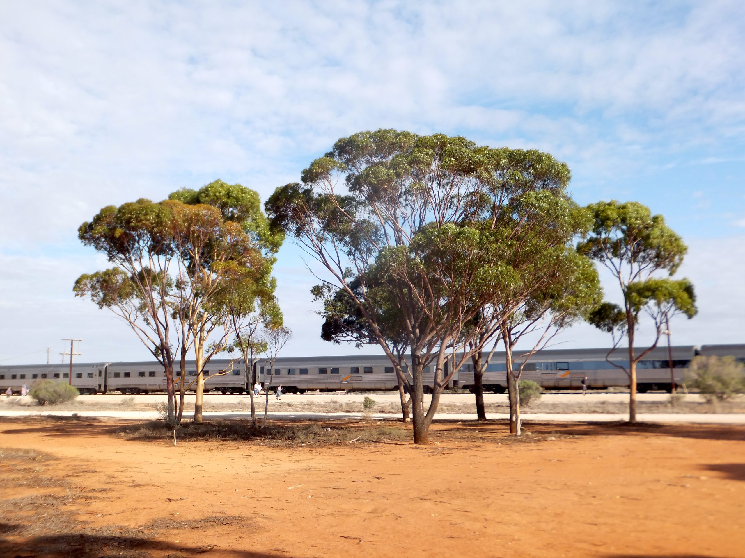 Antipodes 2020 day 5 – Nullabor Plane