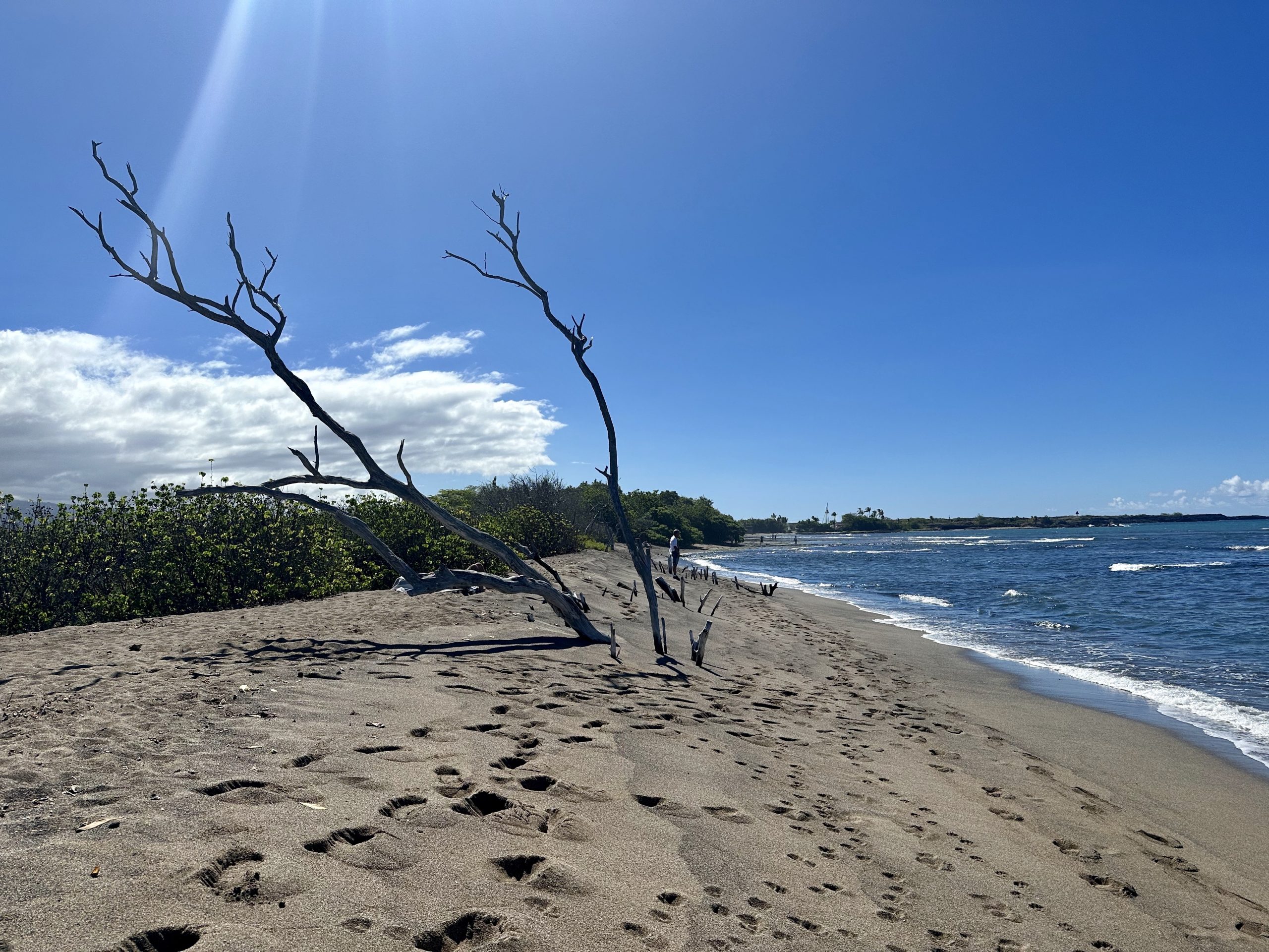 Pacific Islands 2023 – Day 12 – Tue 31/10
