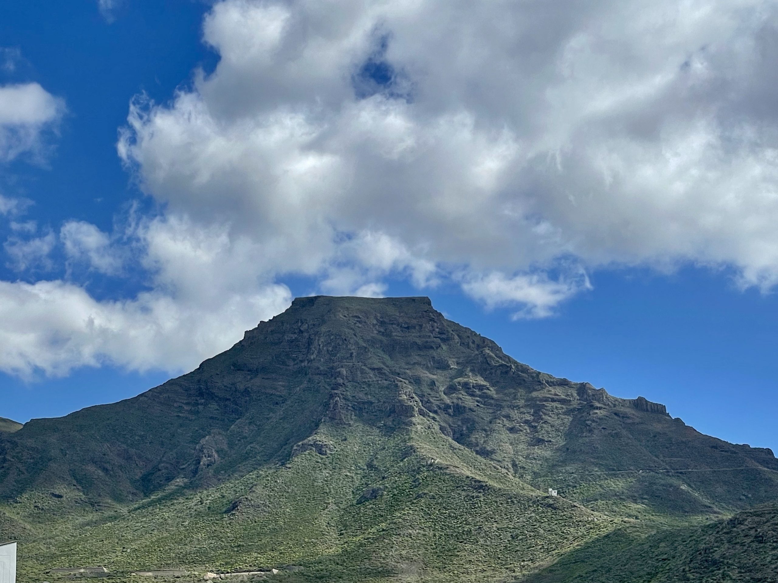 Little White House 2025-03-12