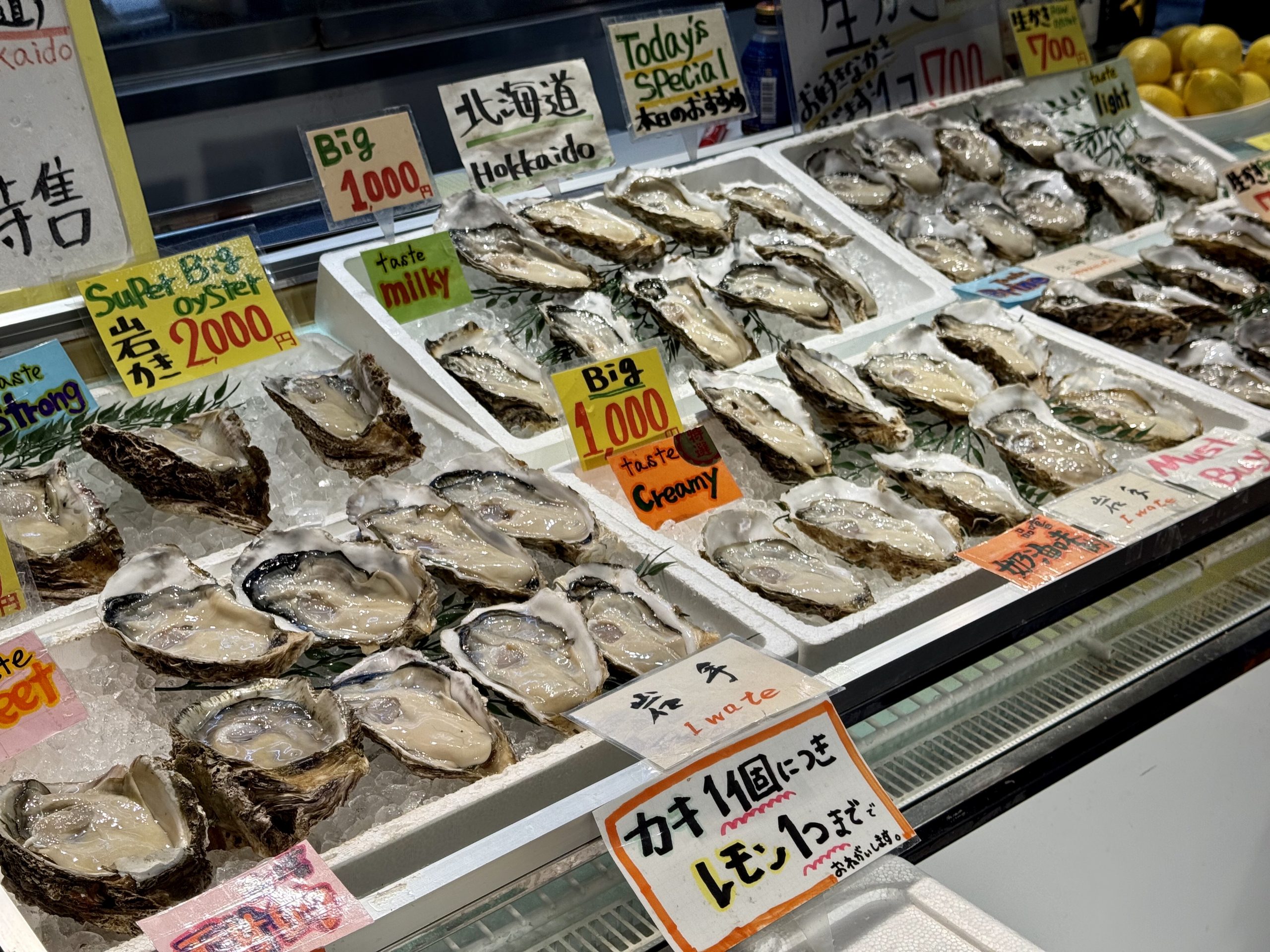 Japan In-depth 2025 – day 02 – Sat 29/03