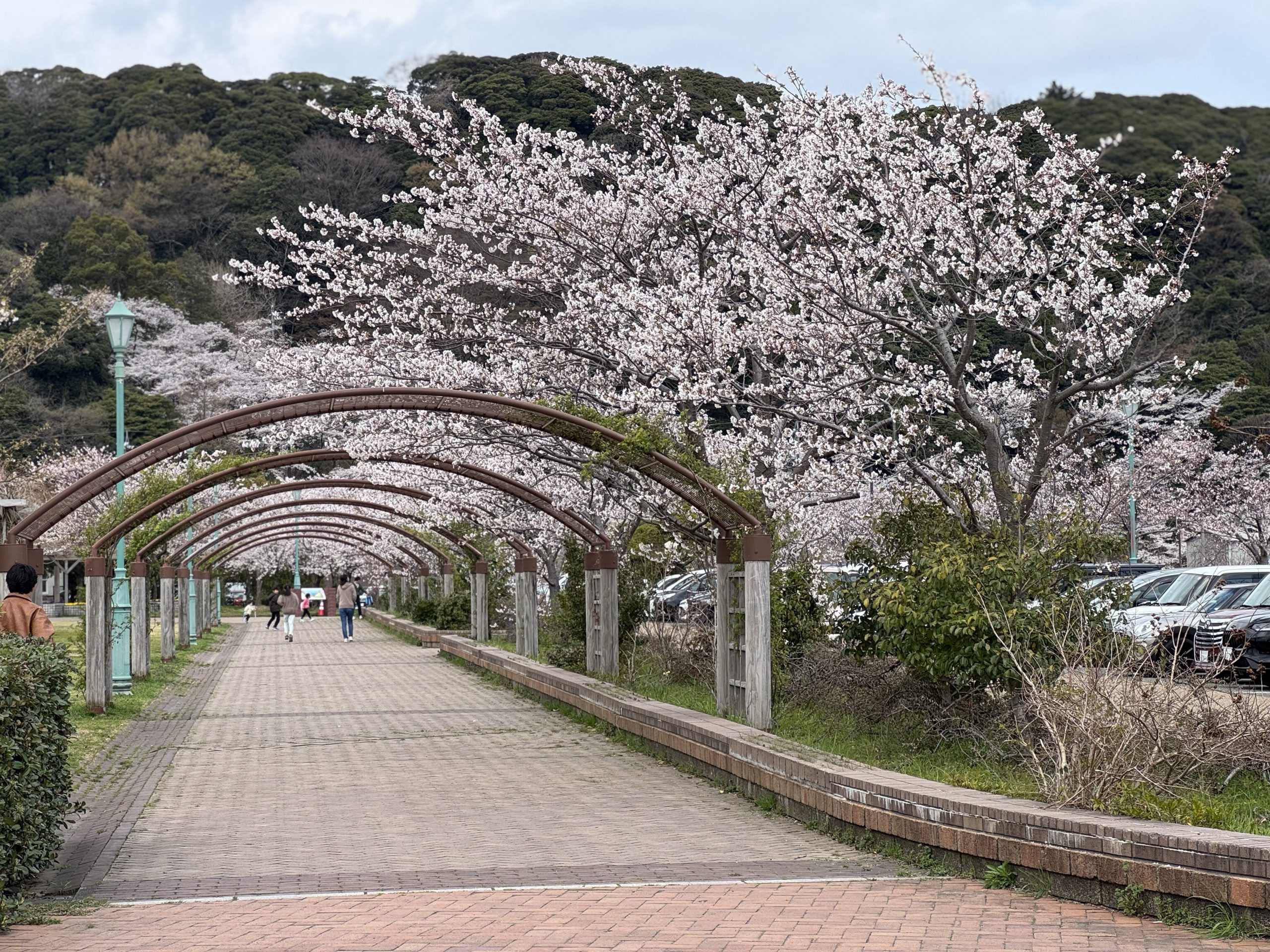 Japan In-depth 2025 – day 09 – Sun 06/04