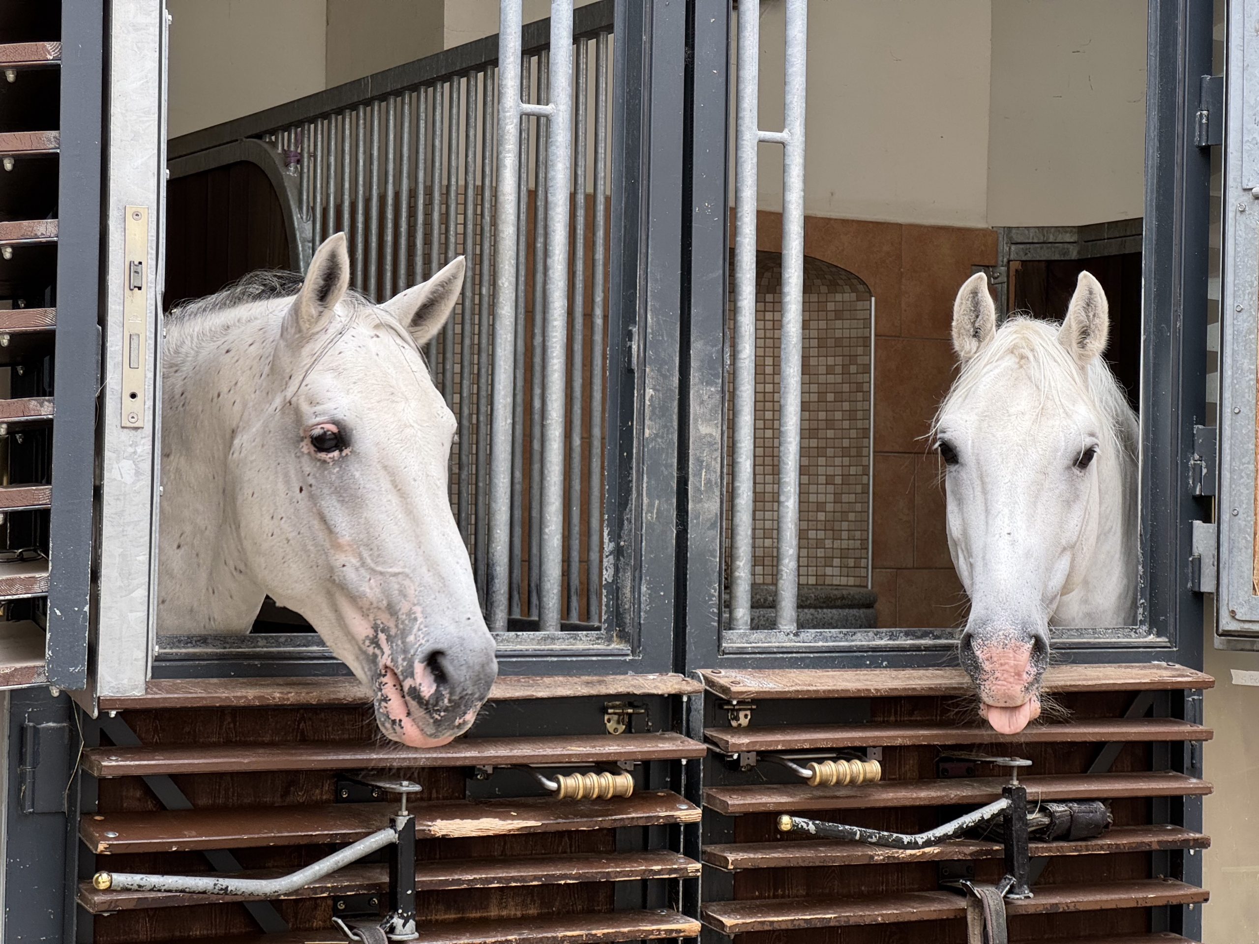 Danube 2025 – day 14 – Fri 18/07