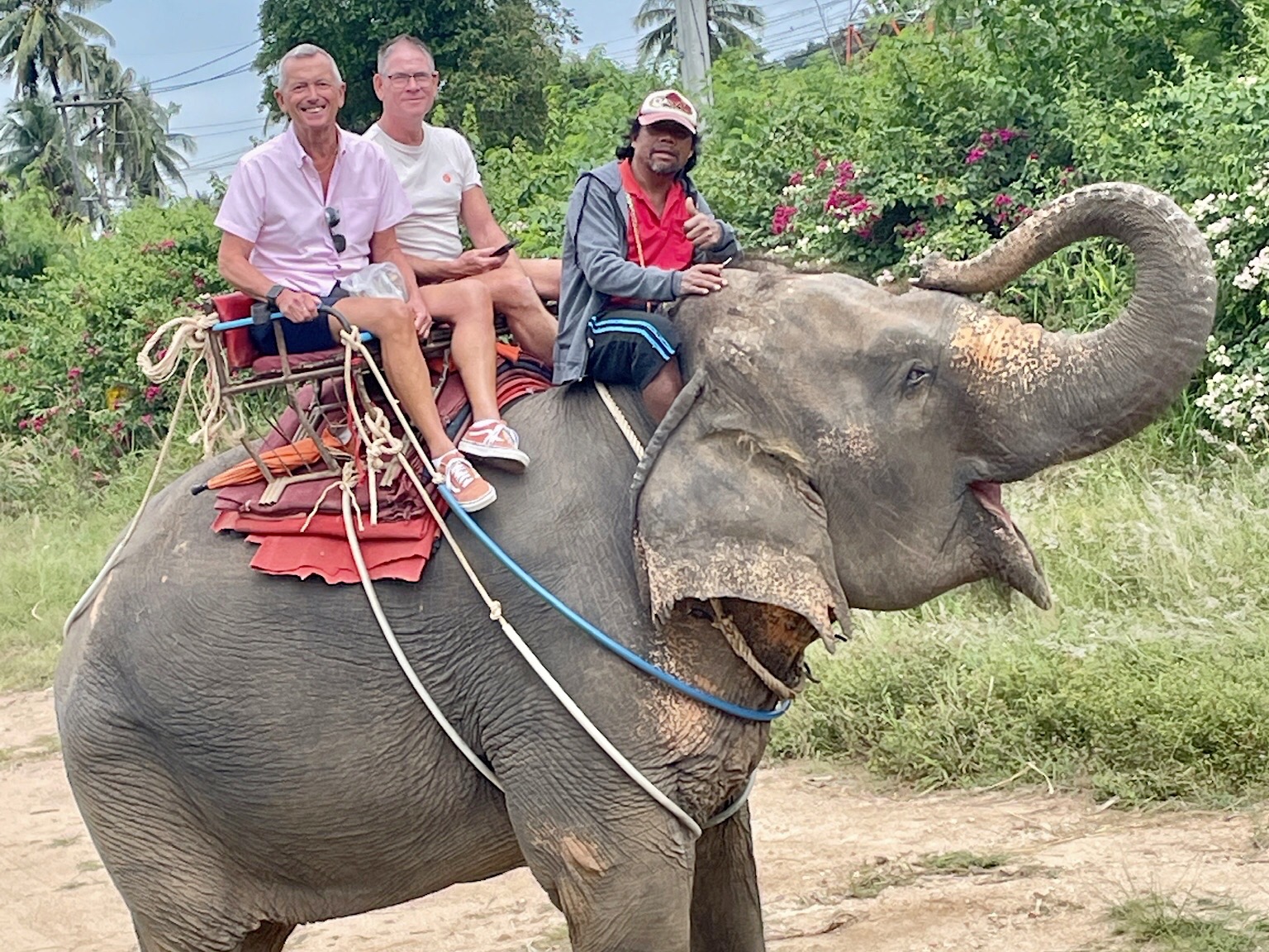 SE Asía 2025 – Thu 20/11 – day 14